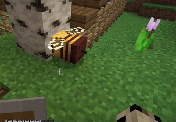DepressedBee full.jpg