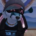 Thumbnail for version as of 23:52, 18 May 2021