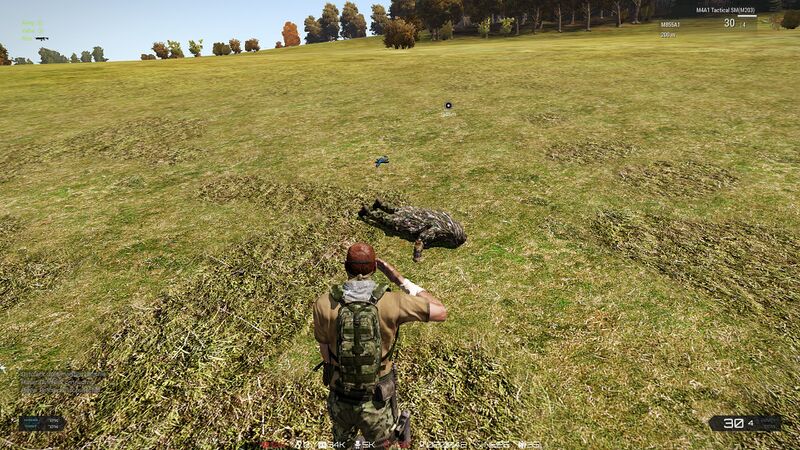 File:ValterDownArma3.jpg
